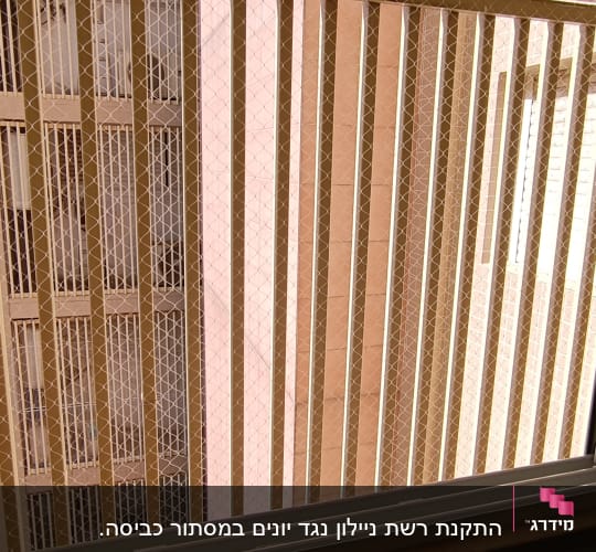 רשת הגנה על חלון למניעת כניסת יונים